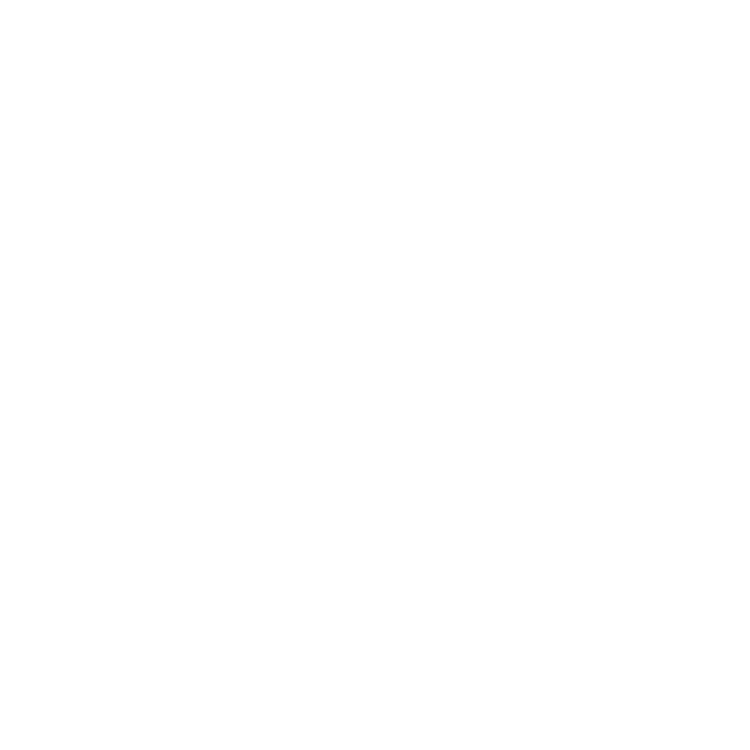 Trust AI Logo